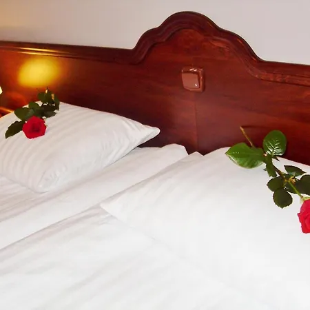 Couette-café Mazurska Jezioro I Aquapark 6 Min, Centrum I Promenada 12 Min 3*