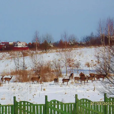 Bed & Breakfast Mazurska Jezioro I Aquapark 6 Min, Centrum I Promenada 12 Min Mikołajki