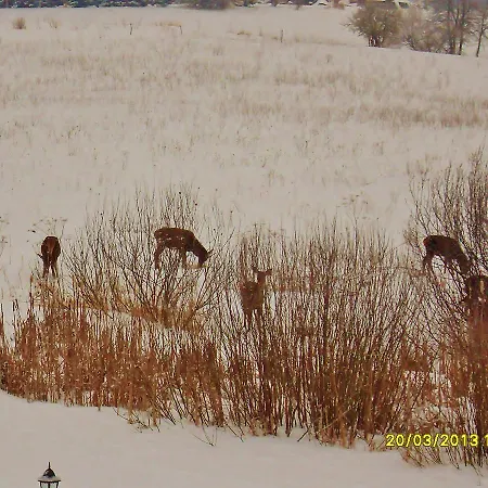 Mazurska Jezioro I Aquapark 6 Min, Centrum I Promenada 12 Min Bed & Breakfast