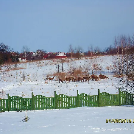Bed & Breakfast Mazurska Chata Jezioro I Aquapark 6 Min, Centrum I Promenada 12 Min