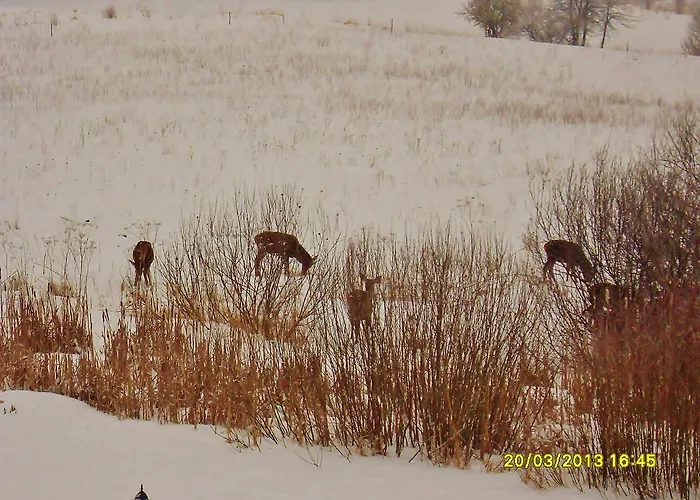 Mazurska Jezioro I Aquapark 6 Min, Centrum I Promenada 12 Min Bed & Breakfast